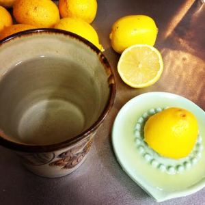lemon water juicer