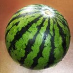 watermelon cooler watermelon